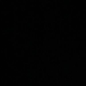 Meet your Posher, Joey